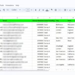 SaaS company leads