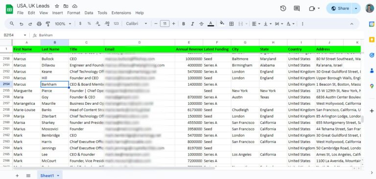 SaaS company leads